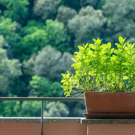 Διαμέρισμα Ca Frighilin Finale Ligure