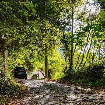 Διαμέρισμα Ca Frighilin *