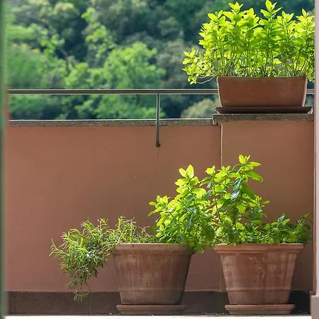 Ca Frighilin Apartment