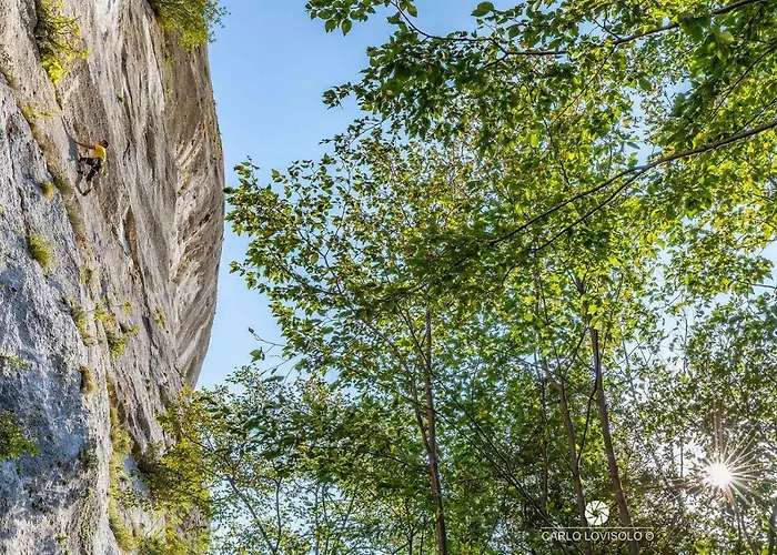 Apartamento Ca Frighilin *